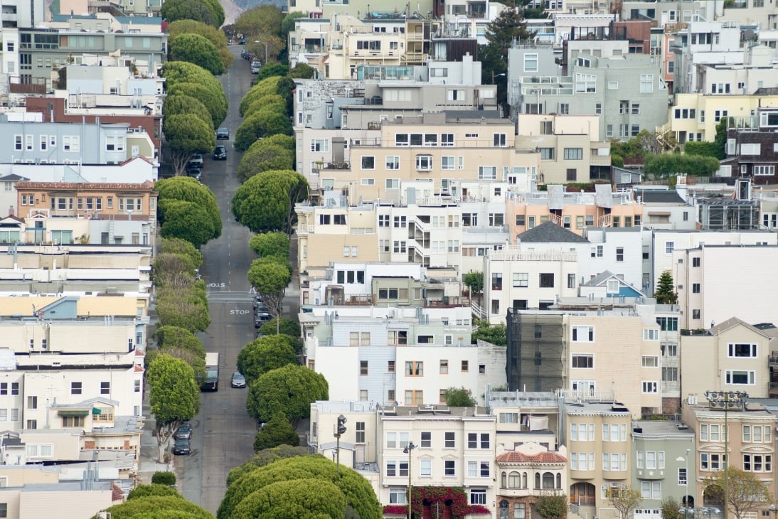 Tree-lined street in San Francisco