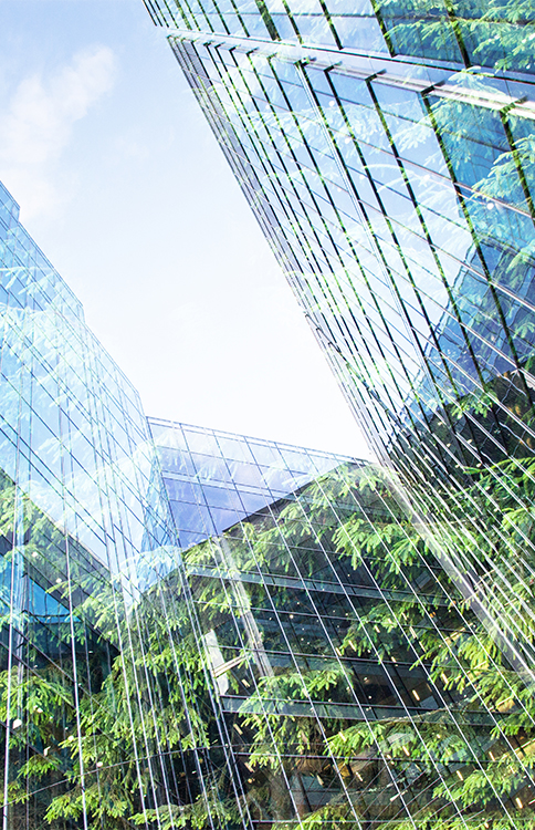 An image of tall reflective buildings and trees