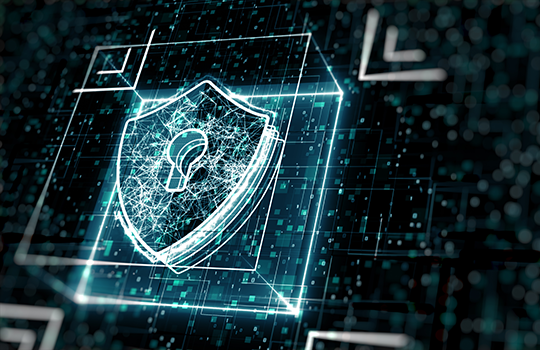 privileged information