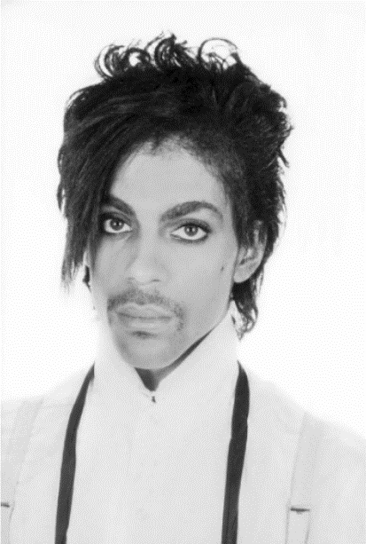 Goldsmith's portrait of Prince