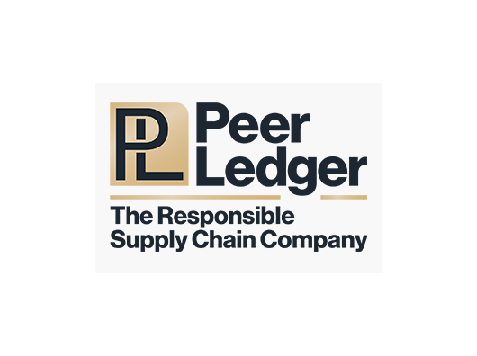 Peer Ledger logo