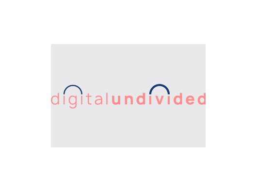 Digital Undivided logo