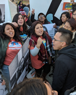 Youth protesters - Photo courtesy United We Dream